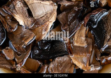 Tremper les champignons séchés pour créer un riche bouillon umami. Préparer l'infusion de champignons en trempant les champignons séchés pour rehausser les bases de soupe et de sauce avec de l'umami Banque D'Images