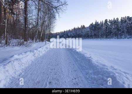 Route d'hiver rurale couverte de neige avec forêt et gel Banque D'Images