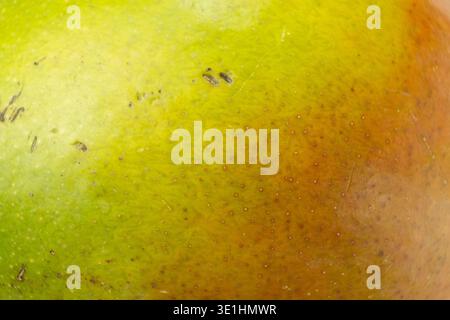 Fond abstrait de la peau de mangue macro organique colorée Banque D'Images