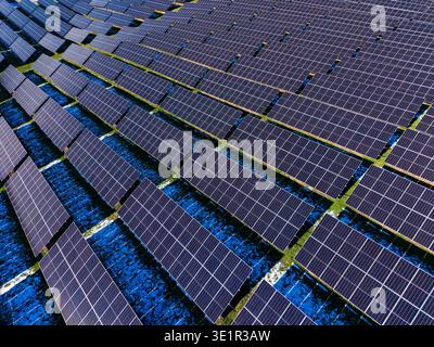 Des rangées de panneaux solaires sont organisées dans un grand espace sur une ferme solaire. Les panneaux réfléchissent la lumière du soleil et sont placés contre un sol bleu, indiquant récent Banque D'Images