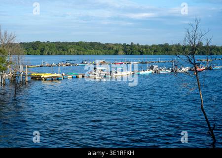 Les bateaux flottent calmement sur un large lac bleu clair. Les arbres bordent la rive lointaine sous le ciel mou. Les engins de pêche et les petits navires parsèment la surface de l'eau. Cadre de branches Banque D'Images