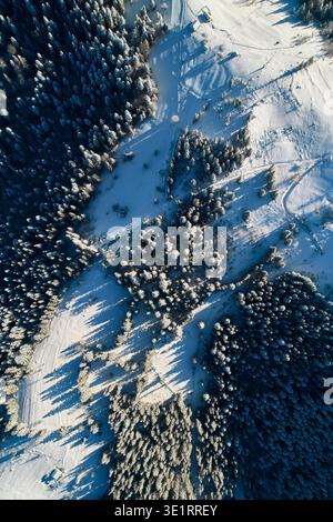 Vue aérienne paysage enneigé de haut en bas avec des forêts denses et des champs ouverts. De longues ombres projetées par les arbres et les structures créent des motifs sur la neige, ajoutant de la profondeur et du contraste à la sérénité de la scène hivernale. Banque D'Images