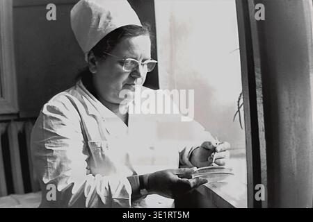 Une photographie d'archives en noir et blanc prise en 1977 montre une femme professionnelle de la santé portant des lunettes, un manteau blanc et une casquette, travaillant soigneusement près d'une fenêtre lumineuse à l'hôpital-usine AIZ à Slavyansk. L’infirmière ou le technicien de laboratoire spécialisé tient une boîte de Pétri et un petit bâton, effectuant un test de laboratoire ou une analyse bactériologique. Ce portrait intime souligne le dévouement et la précision requis dans les soins de santé soviétiques. Cet instantané historique documente la pratique clinique quotidienne, la médecine du travail et le Donbass pacifique avant la guerre. Banque D'Images