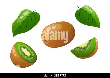 Illustration vectorielle avec des kiwis tranchés et des feuilles Illustration de Vecteur
