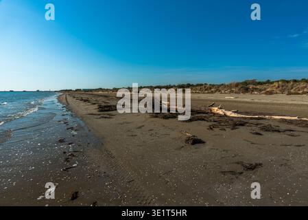 Plage d'automne avec la mer verte et les débris d'hiver abandonnés sur le sable humide près des murs au Lido de Venise en Vénétie Italie Banque D'Images