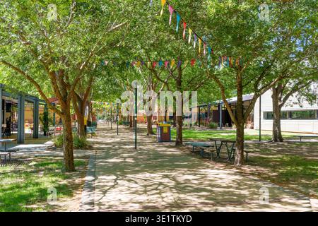 Wodonga, Victoria, Australie. 13 mars 2026. - Un sentier universitaire bordé d'arbres par une journée ensoleillée, orné de drapeaux de fanions colorés, tables de pique-nique et caméra Banque D'Images