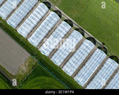 Vue aérienne de serres projetant de longues ombres, en contraste frappant avec les champs vert vif, Benningbroek, Noord-Holland, pays-Bas. Banque D'Images