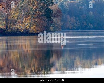 Pêcheur solitaire debout sur un petit bateau de pêche dans le lac d'automne brumeux avec des reflets forestiers colorés Banque D'Images