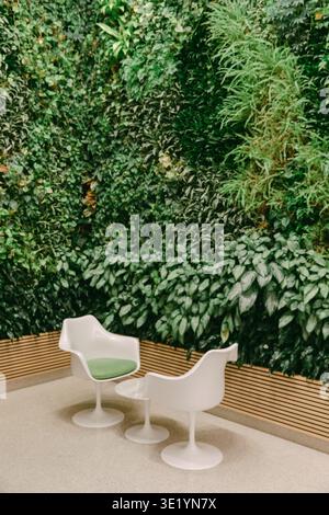 Espace assis avec des chaises modernes devant un mur de plantes vivantes dans un espace contemporain Banque D'Images