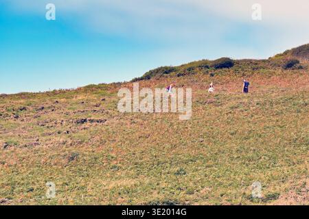 Fishguard, pays de Galles, Royaume-Uni - 26 juillet 2025 : les gens marchent sur le chemin autour de la côte à Dinas Head. Il fait partie du Wales National Coast Path Banque D'Images
