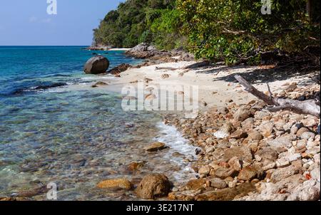 Rivage rocheux à Koh Adang, Thaïlande. Les eaux turquoises claires rencontrent la plage de sable. La verdure tropicale encadre la scène côtière. Banque D'Images