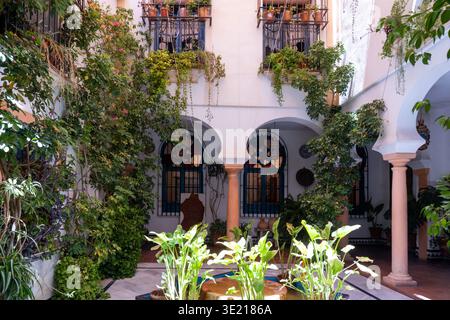 Cour andalouse traditionnelle remplie de plantes en pot à Cordoue, Espagne Banque D'Images
