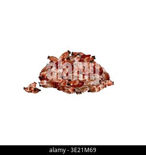Un tas d'épines oblongues séchées individuelles ou de hanches roses, dessinées à la main à l'aquarelle sur un fond isolé. Clip art botanique simple de l'autum Banque D'Images