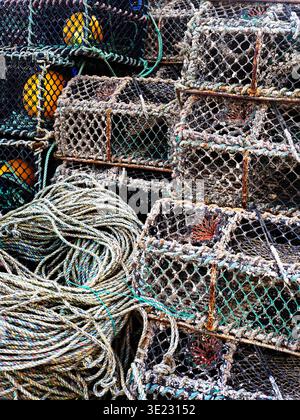Casiers à homard au port de St Andrews Fife en Écosse Banque D'Images