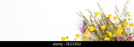 Bannière de bouquet de fleurs sauvages sur fond blanc avec espace de copie, composition florale douce de printemps pour en-tête de site Web, carte de voeux, invitation, féminin Banque D'Images