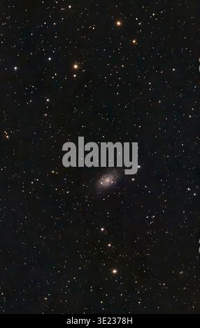 NGC 2403 Galaxy à Camelopardis photographié depuis Londres Royaume-Uni le 17 mars 2026 avec un télescope intelligent. Environ 9,7 millions d'années-lumière de la Terre. Banque D'Images