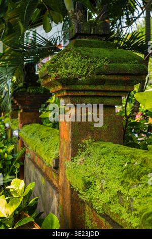 Clôture en pierre moussy dans le jardin tropical balinais Banque D'Images
