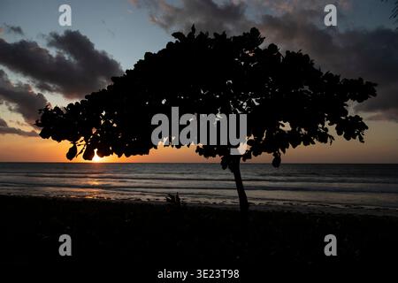 Lever du soleil à Diani Beach, Kenya Banque D'Images