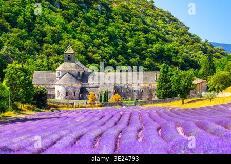 Abbaye de Sénanque Gordes Provence champs de lavande notre-Dame de Sénanque, Luberon, France. Europe Banque D'Images