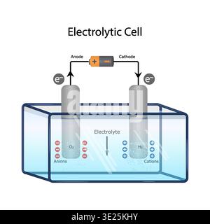 Diagramme de cellule électrolytique avec électrodes anodiques et cathodiques. Infographie scientifique éducative avec solution électrolytique, anions, cations. Vecteur Illustration de Vecteur