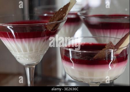 Panna cotta magnifiquement travaillée avec gelée de framboise et garniture de biscuit croquant Banque D'Images