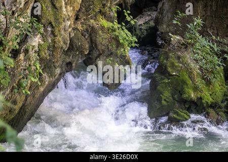 Grutas Lanquín Guatemala - les cascades d'eau de rivière à débit rapide traversent une étroite grotte rocheuse, tombant sur des pierres couvertes de mousse et entourées de gre luxuriant Banque D'Images