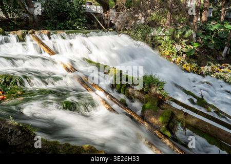Aguacatan, Guatemala - Une cascade de longue exposition se déverse sur des bûches moussues dans un ruisseau qui coule bordé de fleurs colorées et de verdure luxuriante, de créatine Banque D'Images