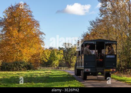 Remorque de pousse verte dans le Grand parc de Windsor transportant des chasseurs sur une pousse de faisan sur une route entourée de feuillage d'automne Banque D'Images