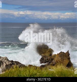De puissantes vagues océaniques s'écrasent contre la côte rocheuse avec des jets spectaculaires et des formations côtières accidentées. Banque D'Images