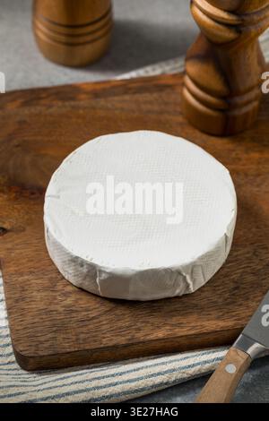 Camembert blanc sain bio Brie Cheese coupé en tranches Banque D'Images