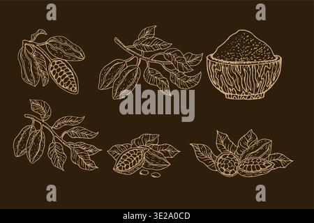 Ensemble de croquis vectoriels de cacao doré. Cacao en poudre, haricots, branches et compositions pour chocolat alimentaire et design épicé. Illustration vectorielle dessinée à la main dans le style d'encre de gravure. Croquis linéaire de cacao. Illustration de Vecteur