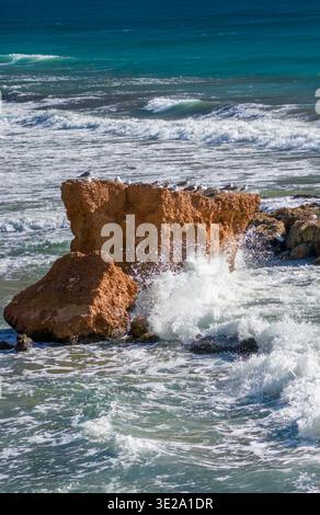 Scène côtière dynamique à Calp, en Espagne, avec des vagues qui s'écrasent contre des rochers accidentés tandis que les mouettes reposent sur la falaise au-dessus de la mer Méditerranée turquoise, idéal pour les voyages ou les thèmes de la nature. Banque D'Images