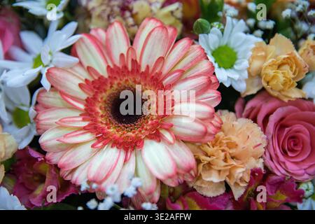 Bouquet de fleurs coloré avec gerbera, roses et camomille gros plan Banque D'Images