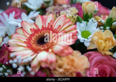 Bouquet de fleurs coloré avec gerbera, roses et camomille gros plan Banque D'Images