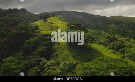 Vue aérienne de la végétation luxuriante de la jungle forestière couvrant les collines ondulantes de l'île tropicale de Tahiti, avec un ciel nuageux au-dessus de la tête créant une atmosphère dramatique. Panorama de vol de drone Banque D'Images