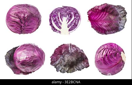 Diverses feuilles et têtes de choux rouges isolées sur fond blanc Banque D'Images
