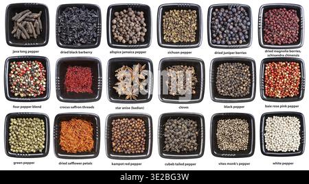 Ensemble de bols noirs avec diverses épices avec des noms isolés sur fond blanc Banque D'Images