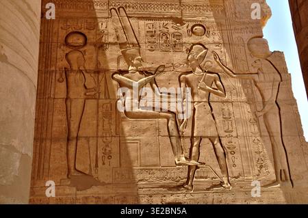 Ancien relief de mur de temple égyptien avec des hiéroglyphes et des figures sculptées dans le grès Banque D'Images
