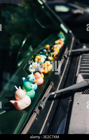 Canards en caoutchouc colorés alignés sur le pare-brise d'une voiture noire dans le parking par une journée ensoleillée Banque D'Images