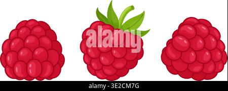 Ensemble de framboises mûres. Style plat tendance dessiné à la main isolé. Baies juteuses lumineuses parfaites pour la conception alimentaire, menus, thèmes d'été, décoration de cuisine, autocollants, menus, applications, affiches. Illustration vectorielle Illustration de Vecteur