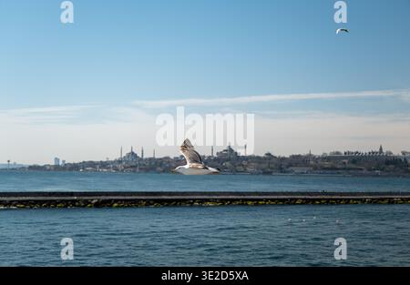 Large paysage urbain panoramique d'Istanbul à travers le Bosphore montrant des ponts, des mosquées ferries, des bâtiments en bord de mer et un drapeau turc Banque D'Images