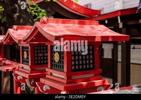 Les lanternes TORO traditionnelles rouge vif se dressent sur le terrain extérieur du sanctuaire japonais, à la lumière du soleil, symbolisant l'harmonie du shintoïsme avec la nature. Banque D'Images