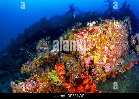 Vue grand angle des coraux et éponges incrustés vibrants sur l'épave de Tulamben à Bali Banque D'Images