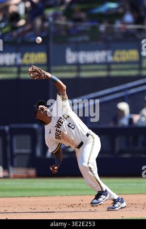 Phoenix, AZ : David Hamilton (6), deuxième joueur de base des Milwaukee Brewers, attrape une boule volante de la batte du centre de terrain des Los Angeles Angels Jose Siri (28) (non représenté) dans la troisième manche lors d'un match d'entraînement de printemps contre les Los Angeles Angels le mercredi 18 mars 2026 à American Family Fields of Phoenix. Les Angels ont battu les Brewers 4-3. (Christopher Hall/image du sport) Banque D'Images
