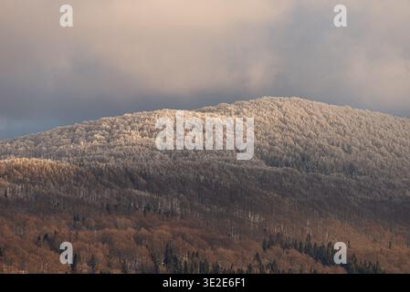 Photo d'un paysage hivernal à couper le souffle avec des collines forestières superposées avec un contraste saisissant entre des arbres dorés ensoleillés et des montagnes couvertes de gel Banque D'Images