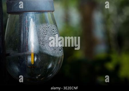 Les gouttelettes d'eau s'accrochent au verre transparent de la lampe de jardin, créant des motifs texturés et humides et une lumière douce réfléchie dans une scène extérieure floue. Photogra Banque D'Images