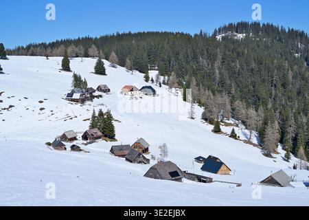 Village alpin dans la neige avec des maisons traditionnelles et des pins. Maisons alpines traditionnelles de Göriacher Alm nichées dans un paysage montagneux enneigé. Banque D'Images