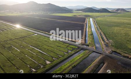 Prise de vue aérienne au-dessus de l'agriculture irriguée dans l'Ouest américain. Banque D'Images