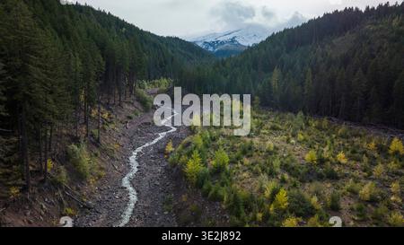Un petit ruisseau traverse une forêt sous une grande montagne. Banque D'Images