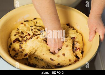 Femme adulte mains pétrissant la pâte à levure avec des raisins secs dans un bol Banque D'Images